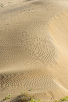 沙漠纹理