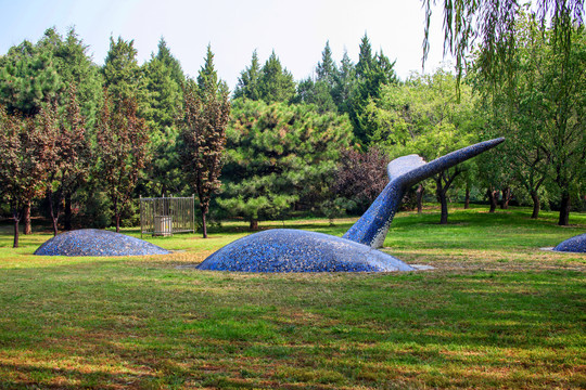 雕塑鲸鱼