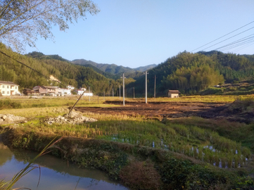 乡村风景