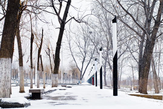 武汉江滩雪景