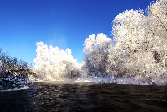 雪景树林