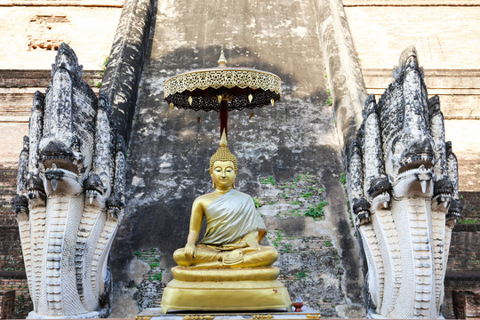 泰国清迈契迪龙寺