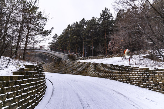 雪中的长春净月潭国家森林公园