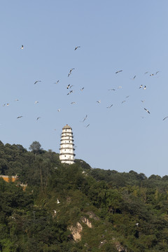 宜宾城市风光