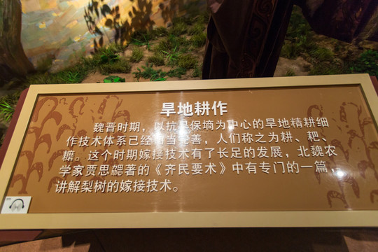 北京中国农业博物馆旱地耕作简介