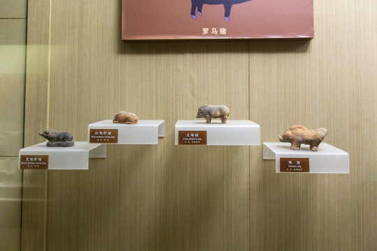 北京中国农业博物馆红陶卧猪