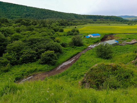 大兴安岭森林民居