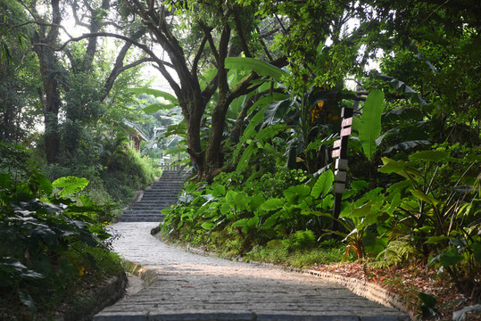 石板路