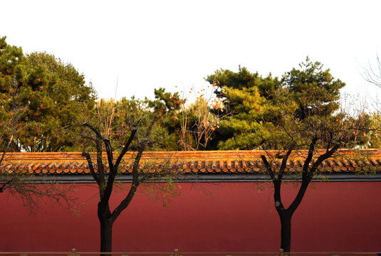 北京红墙