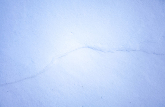 冬季雪景