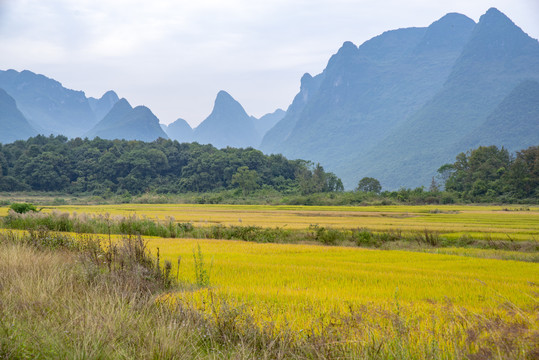 山川农田