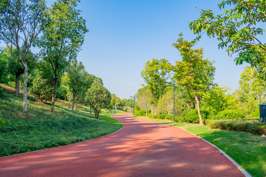 公园道路