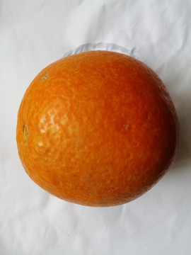赣州脐橙
