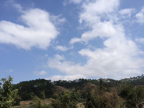 田野天空