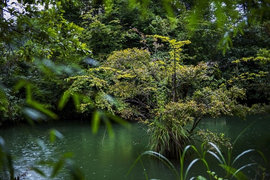 董家河风光