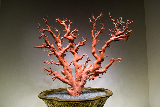红珊瑚摆件