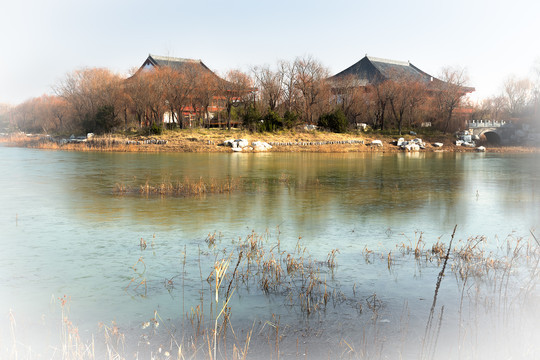 潍坊白浪绿洲湿地公园冬天景色