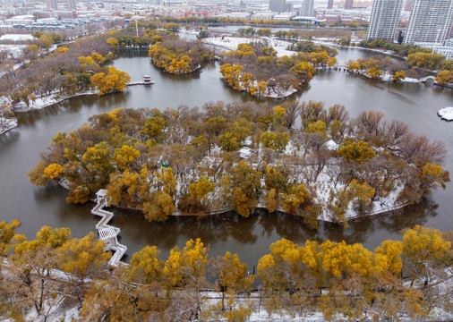 雪后龙沙公园