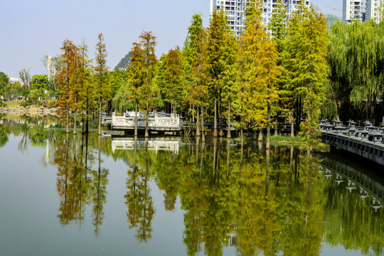 景观水系