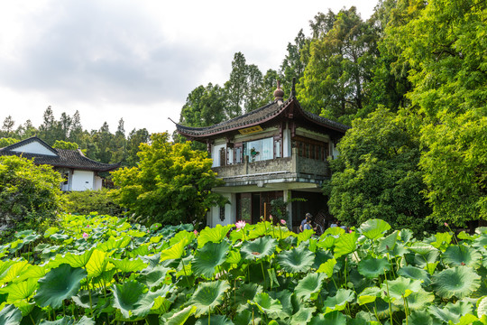 西湖风光