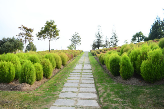 上海辰山植物园