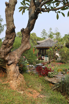 古风庭院