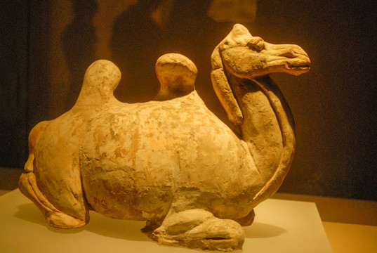 陕西历史博物馆陶俑骆驼