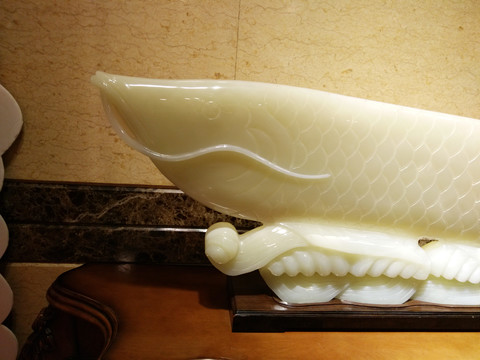 金龙鱼