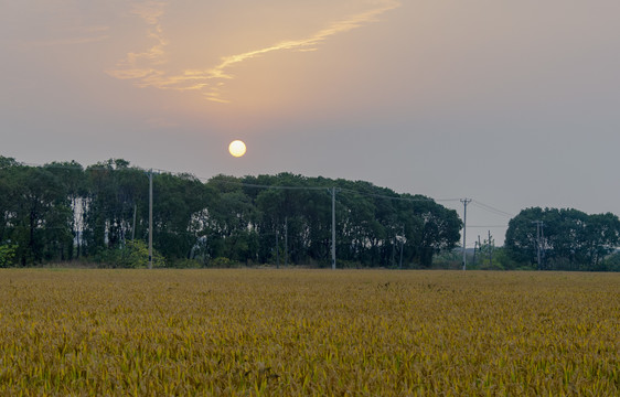 夕阳下的田野