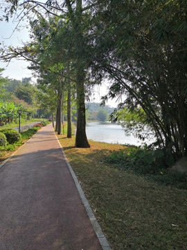 湖光岩风景区
