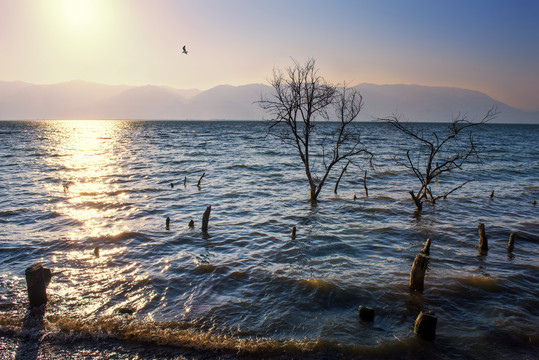 夕阳下的洱海