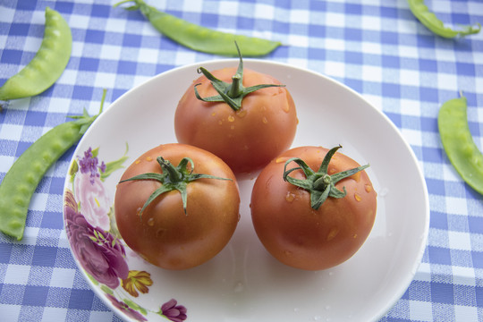 番茄