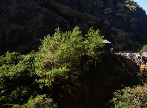 江西青龙岩