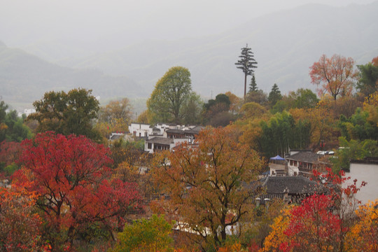 塔川秋色