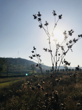 日光 初冬 风景