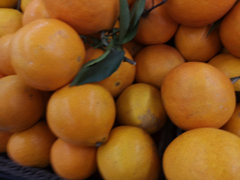 爱嫒桔橙一堆橘子