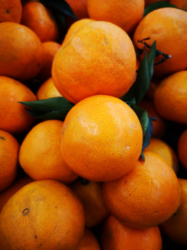 爱嫒桔橙图片