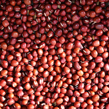 红豆背景画