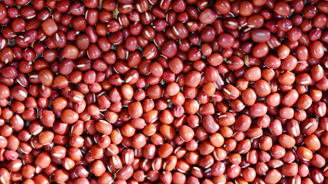 红豆种子