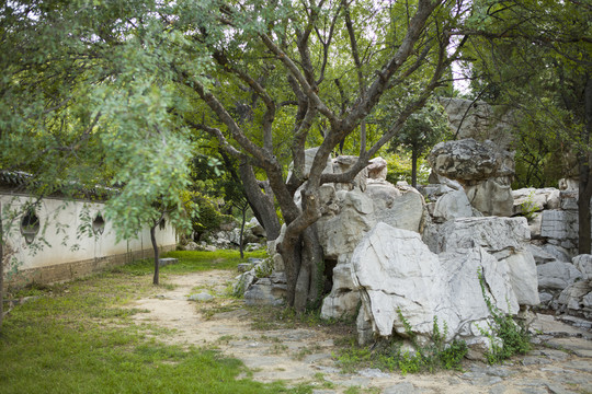 曲阜孔子文化园景观