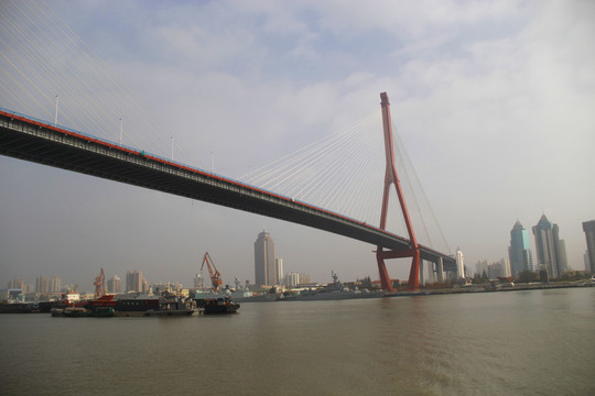 跨江杨浦大桥