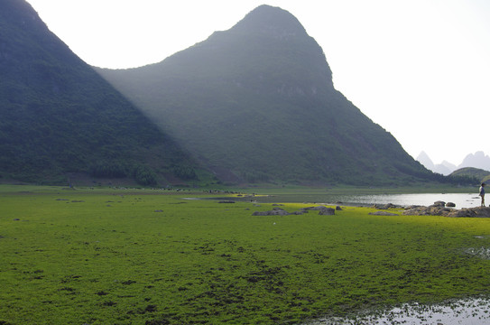 湿地风光