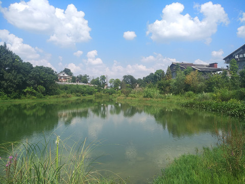 新农村