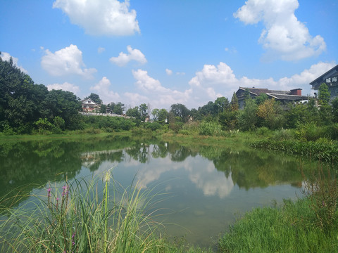 新农村