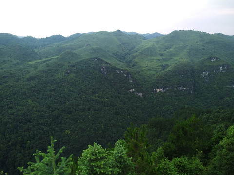 绿水青山