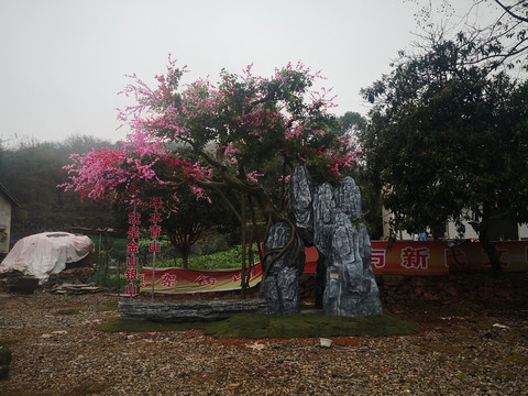 美丽乡村建设节点