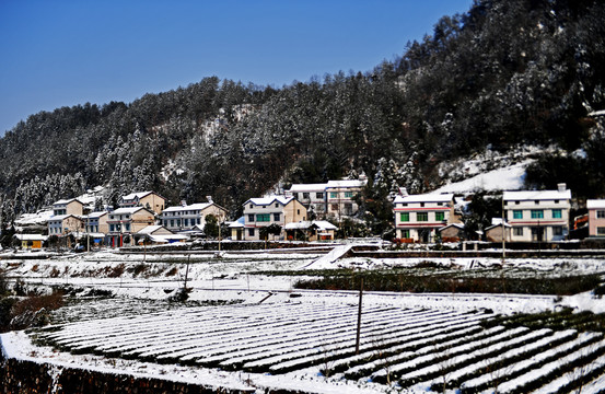 雪景