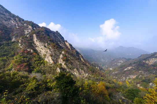 翠华山秋色