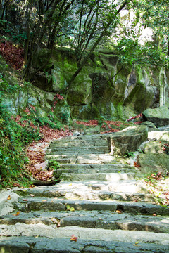 山间步道