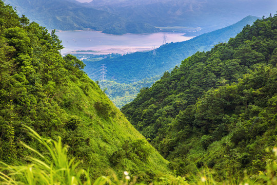 绿水青山